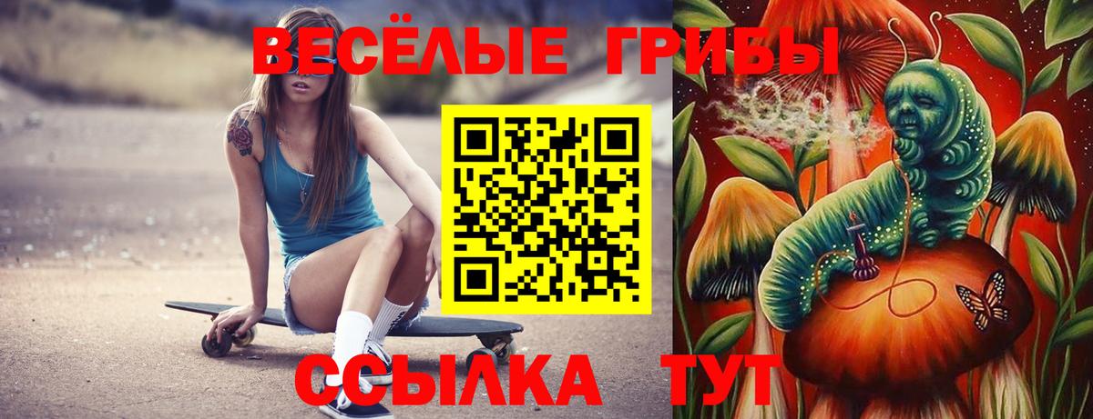 Дедовск  Галлюциногенные грибы ЛСД  Вход с VPN 